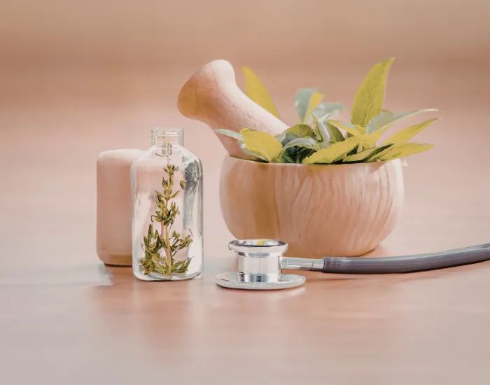 Holistic Medicine - Services - 2026